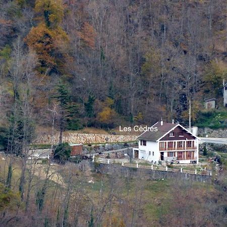 Appartamento Les Cèdres Ax-les-Thermes Esterno foto